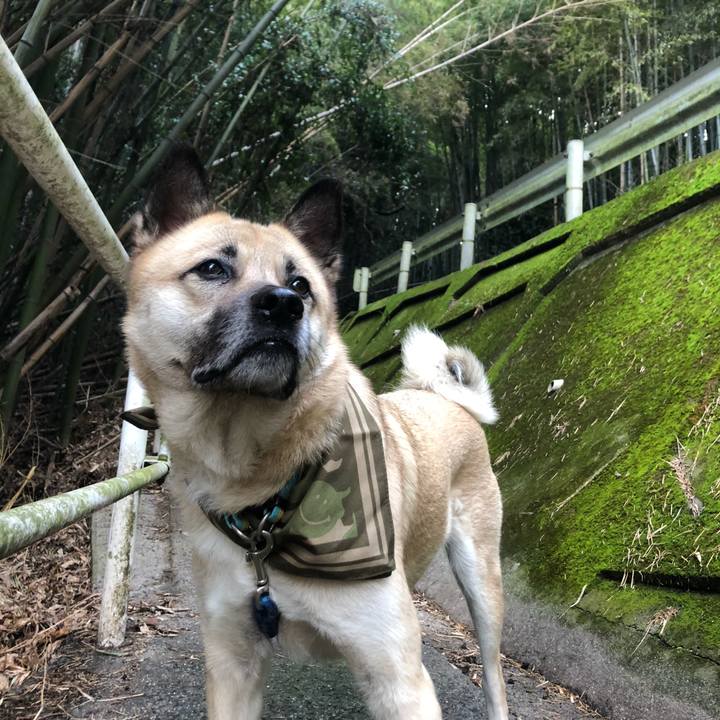 9a71373c 8b9c 4180 8736 51e53d55d70d 1579419957959