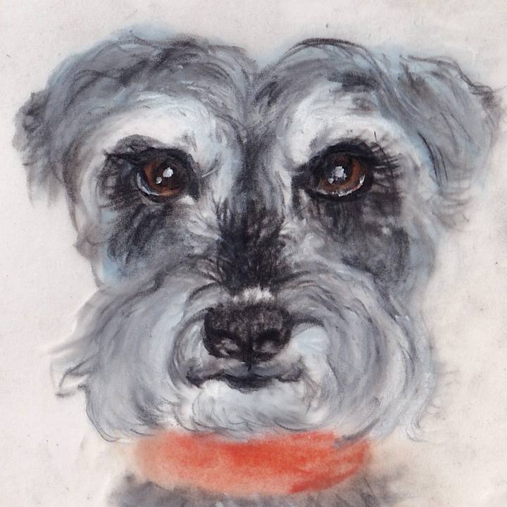 9a713bcb 8ae8 4ed9 9f16 132c3556f57c 1725704067073