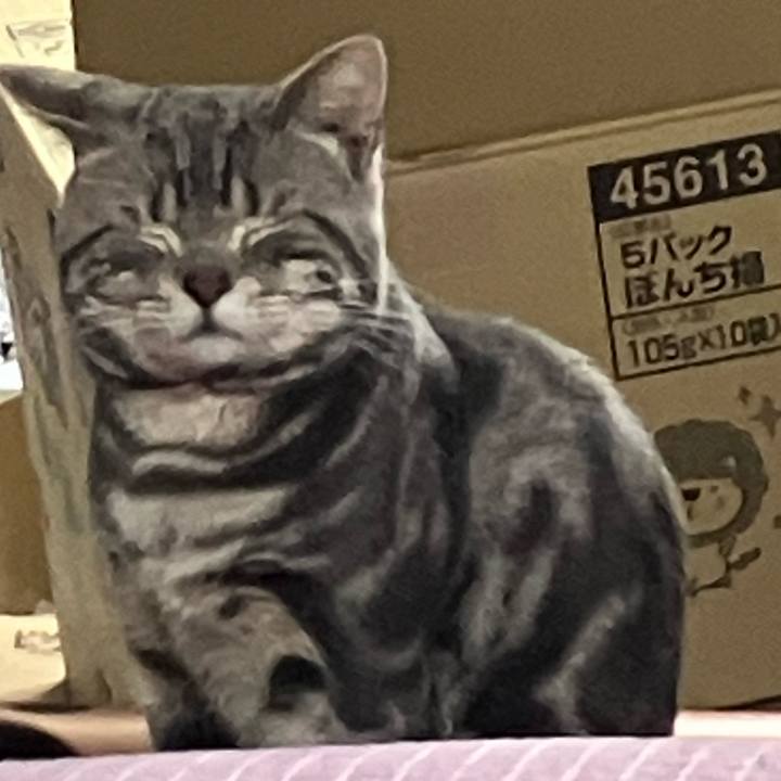 9a719602 8790 47f8 af75 3214959780eb 1776729687939