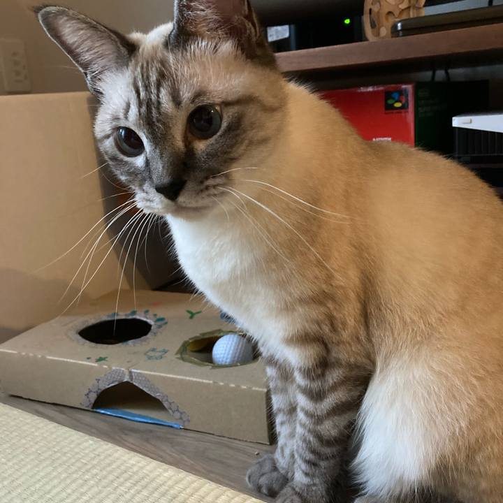 9a71aec7 dc37 4a06 b45b 45a0fb91757a 1598927807753