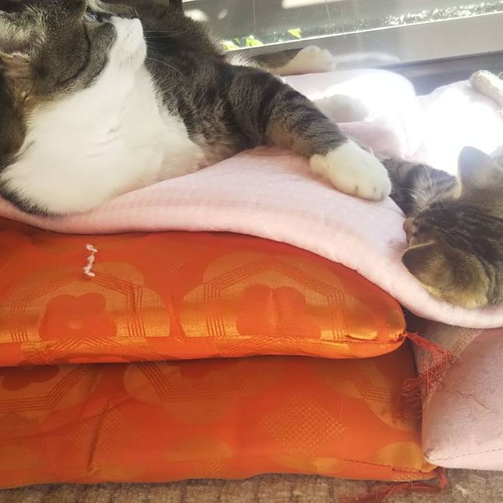 9a71b39f e16c 48f2 8490 330ffc58d58b 1635487929436