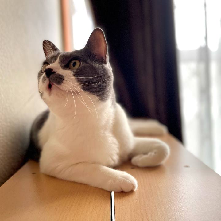 9a71d626 10eb 4c43 b7a4 1318fe923048 1661501306258