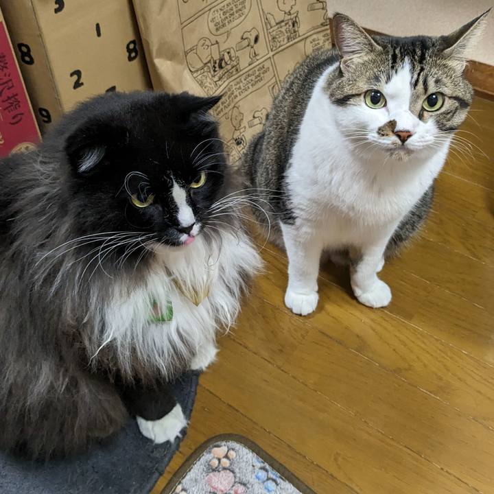 9a71db18 cb5d 43ad 94ae e940aa1473d3 1695993058773