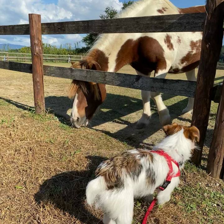 9a71e6d8 c3b8 476b 877d 87d80ba46a14 1633866729503