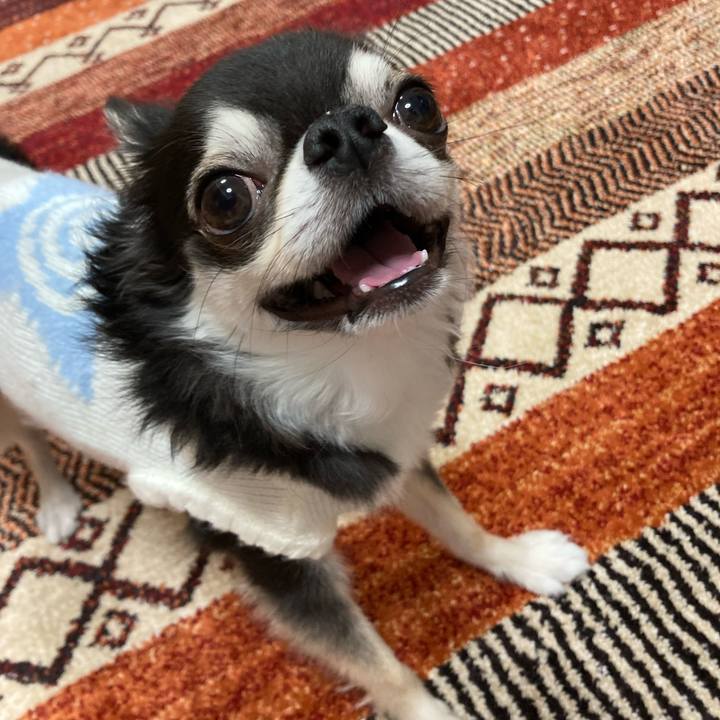 9a720dd3 4178 4981 b06e 408fe1fbe036 1672760986473