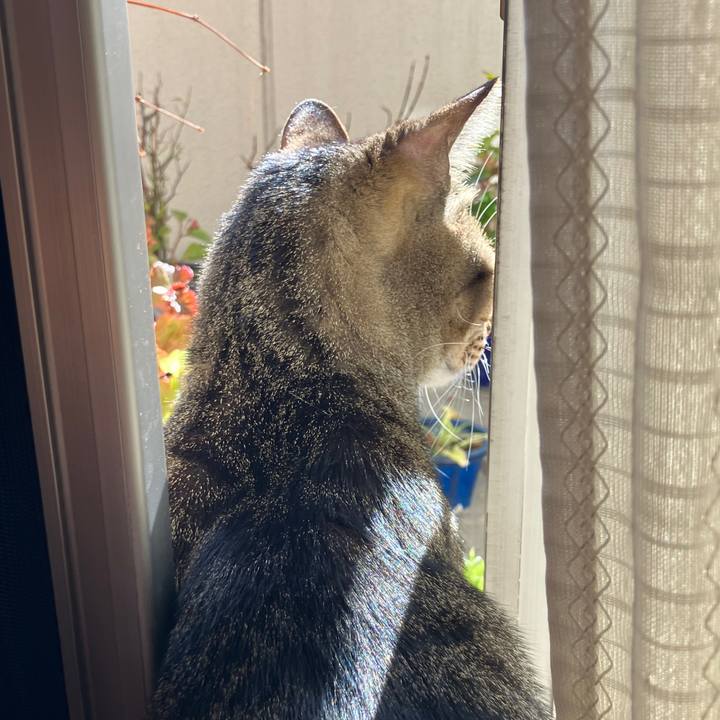 9a723141 c5b0 4e76 ac06 551c477d7178 1767568273352