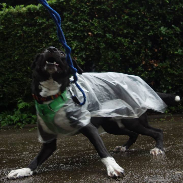 9a725272 fbb9 4305 9bd3 d4aacfcefffd 1595635501972