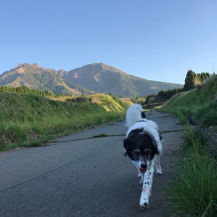 9a728a71 e671 434e aba6 de848a997d1a 1524320344753