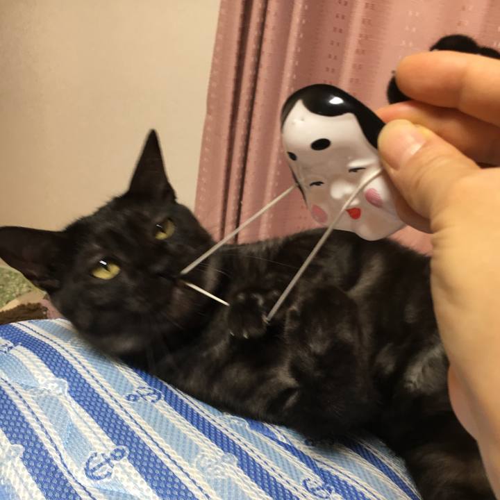 9a728e02 cddf 4613 809d 58a63a952b0a 1549154586469