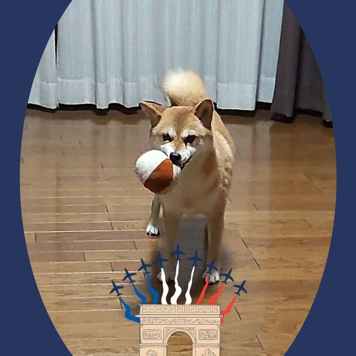 9a72f5b8 cf67 4e9c bfc6 0e87e36029ee 1722087336950