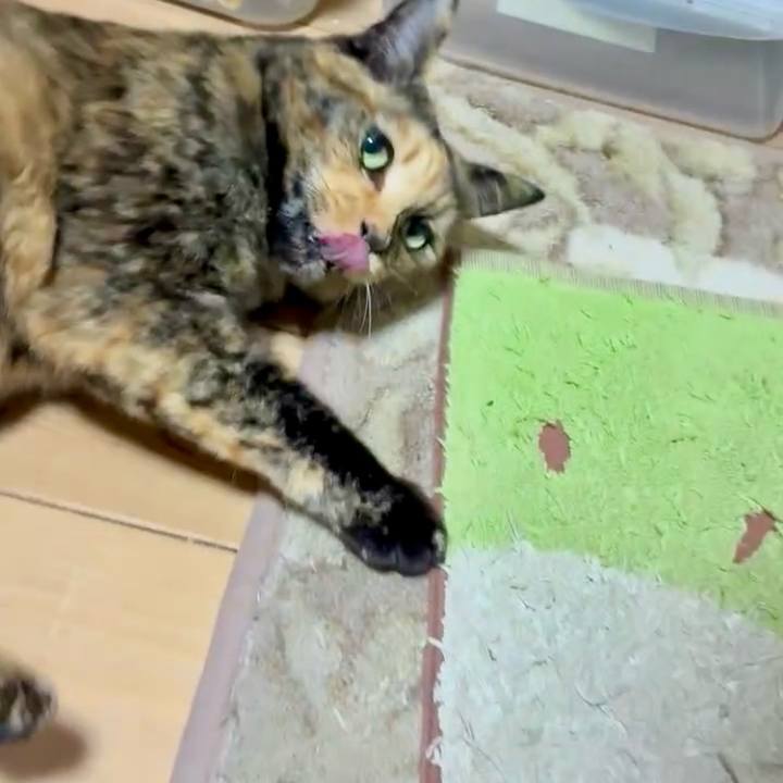 9a7364cd 78e8 4c3c a250 9c8415f6bf5a 1765188095742