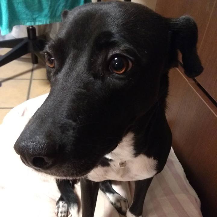 9a736a96 c607 4591 98da 85eae8eaafa7 1588758058583