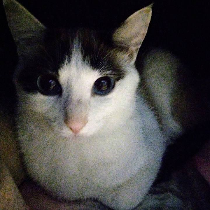 9a738c59 a175 4156 9c0c d71a040efe97 1518915419242