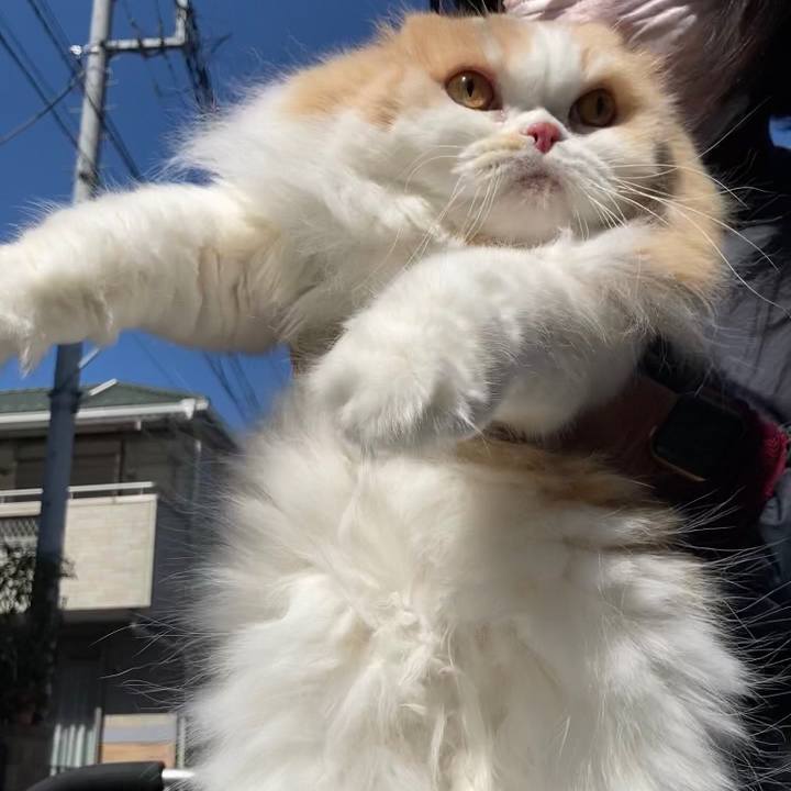 9a738f52 b860 4eec 9bbe 4f7d5f4bebb2 1614522182374