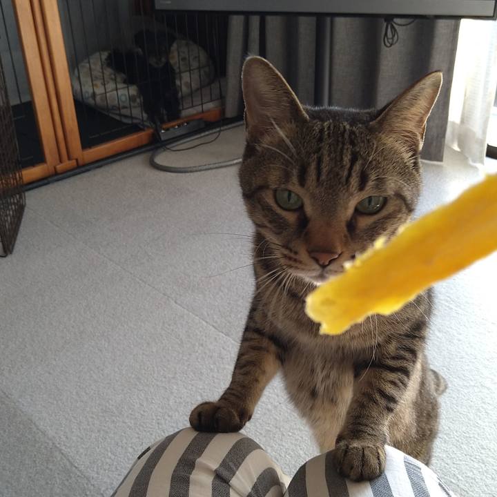 9a7398e7 57fb 4471 8c9f c8e571a0db06 1635916625271