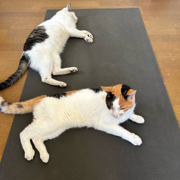 9a73c540 b601 45ca 951b 7fad025477ac 1722389531722