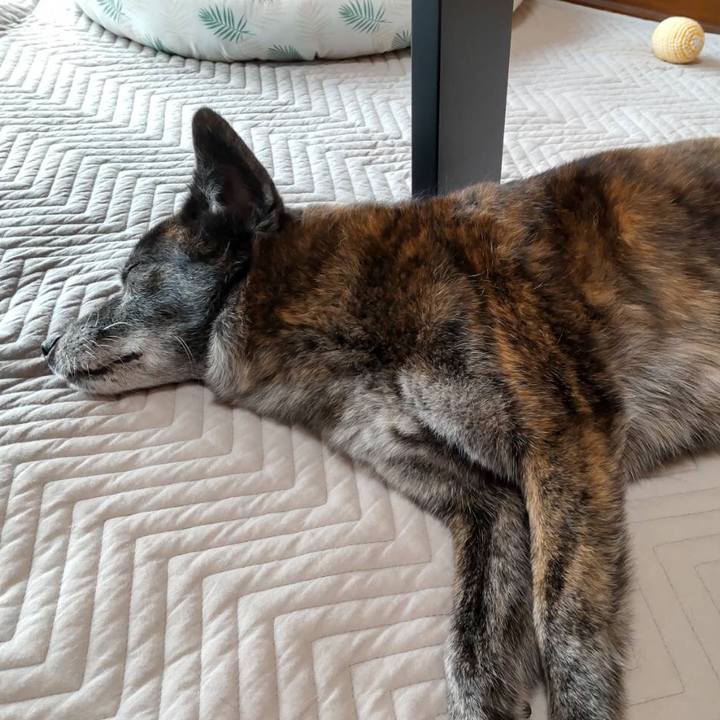 9a73cfa7 21ca 47b4 b06d 12c32aa1de04 1693886641695