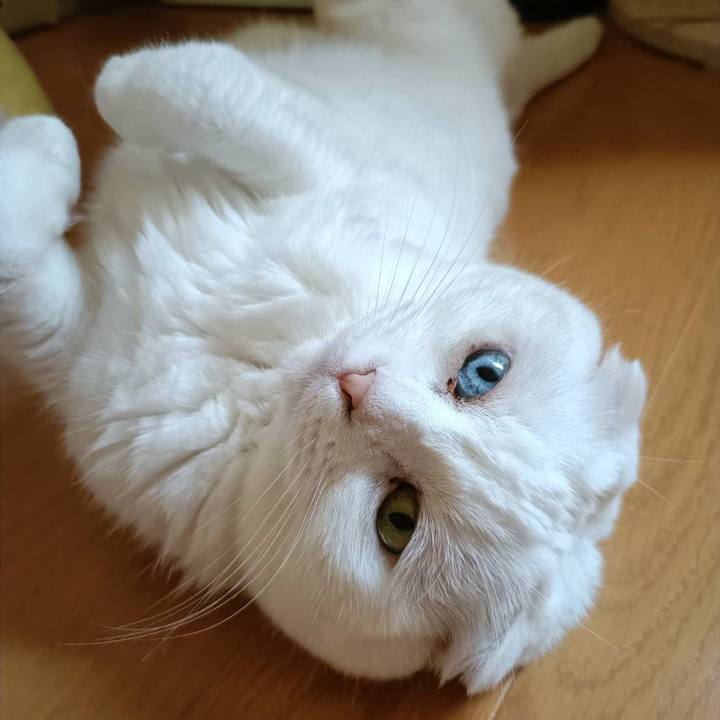 9a73dff5 84f6 4c87 a5f6 5f38cefbc223 1752367051381