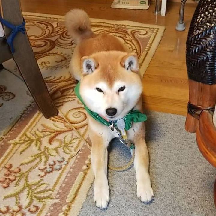 9a73e5f5 a13d 4a1b 946f 5d85fa932ad9 1556692591763