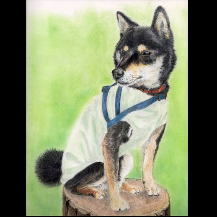 9a7420a3 9a51 4e92 a2f9 f5e26d81e57c 1652090227806