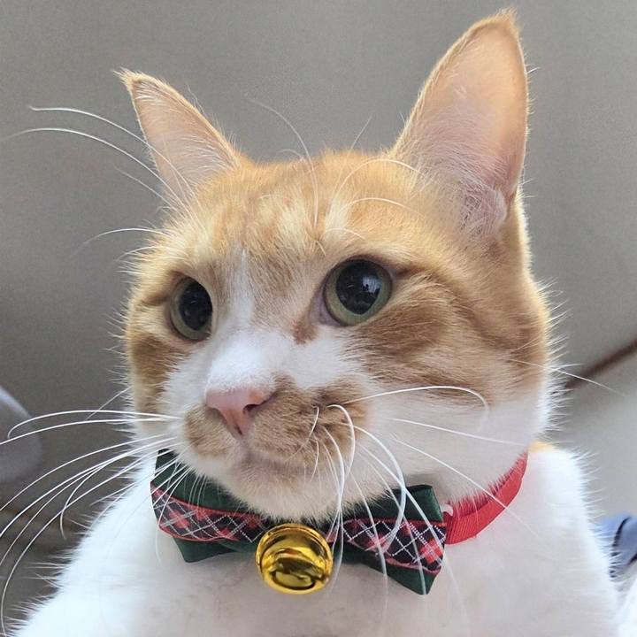 9a744434 8b18 4890 bfd9 9146ec70e6b9 1766209747253