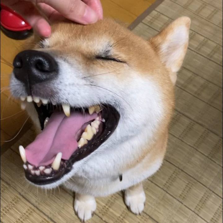 9a74a116 ee5f 4d7b 8de7 0b64b9931e7e 1663408714300