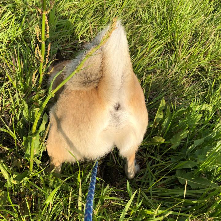 9a74a9ee 7384 4650 b6f4 f6d3d6b5e141 1555156384010