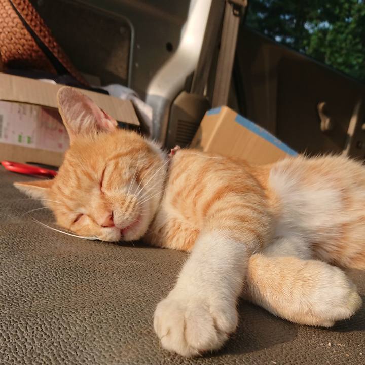 9a74da3f 435d 4355 85c9 29560fcca7eb 1564099474124