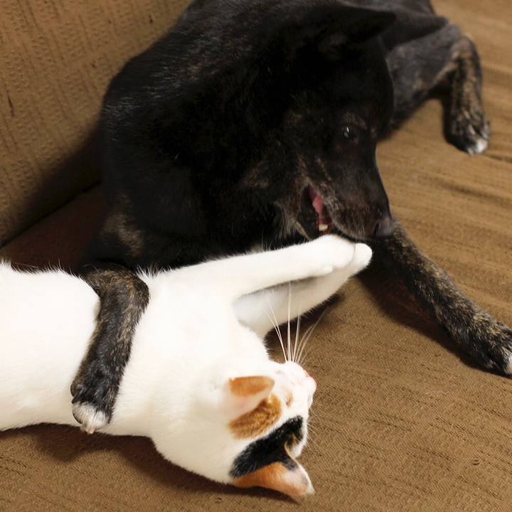 9a74e5eb e091 4480 a246 f4b24916695f 1566346228524