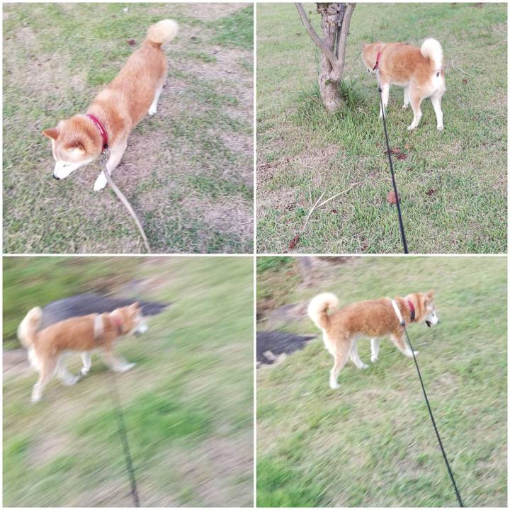 9a74ebf3 a216 4fb6 a9e8 e95057173454 1757324634645