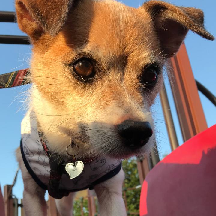 9a750033 3cba 4578 a976 6360a4b527ee 1598053513895