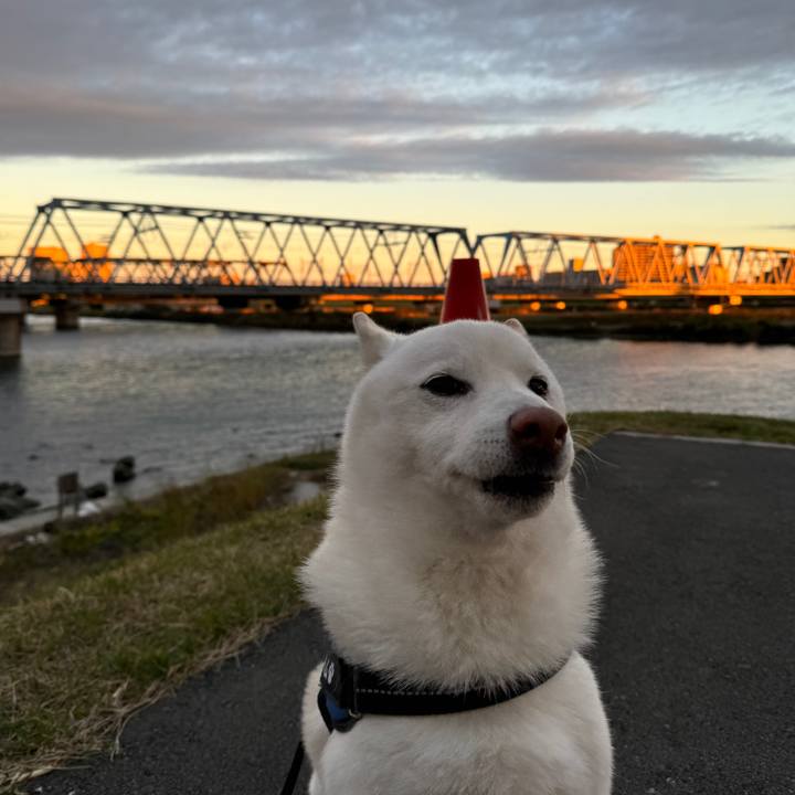 9a7536b8 e620 4fb9 aeb2 8d02f42c0ced 1731965806465