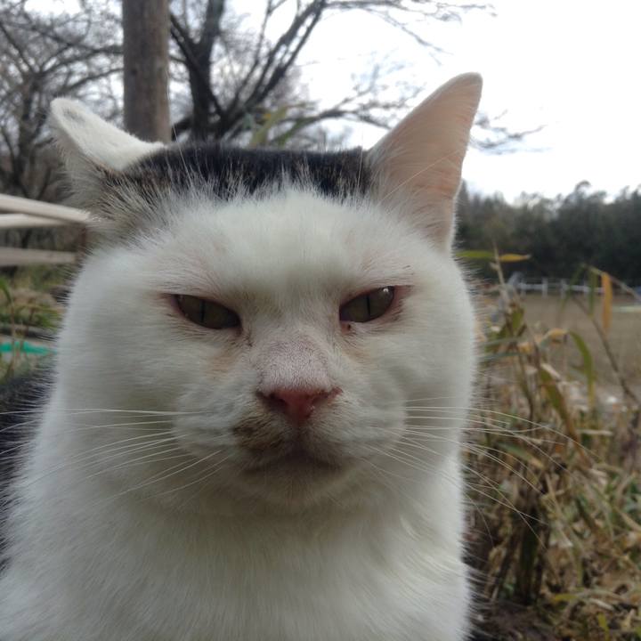 9a75487e 5a1e 41a0 96cb c24bbe17ca50 1515299318730