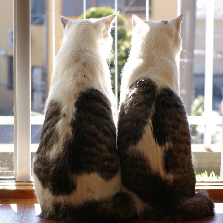 9a754e1a 8e7a 4193 b30d aa3b9a65b945 1525233072213