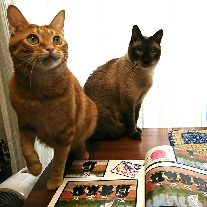 9a757699 53e6 40f0 91ba 6b1df3455b3e 1534638527361