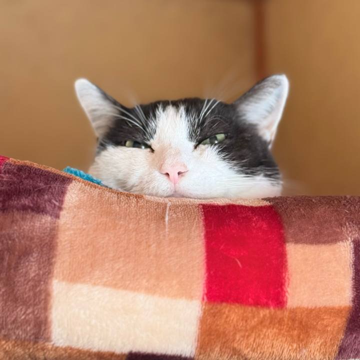 9a759f2f f6d0 4326 a73d 793ef3cefbc6 1773972411974