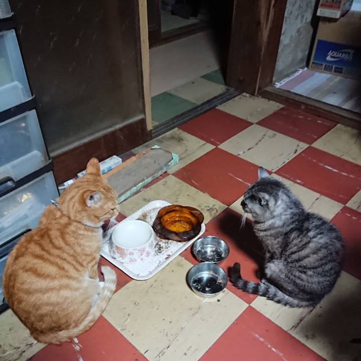 9a75c521 5176 4aed b020 f514a57d9e32 1569872708962