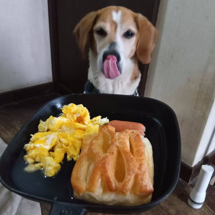 9a75cdb4 3119 4f68 946e 70e4b4877702 1747380276425