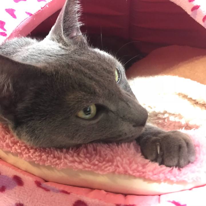 9a75dbb8 6d8e 4018 9964 1b0d549936da 1514209922889