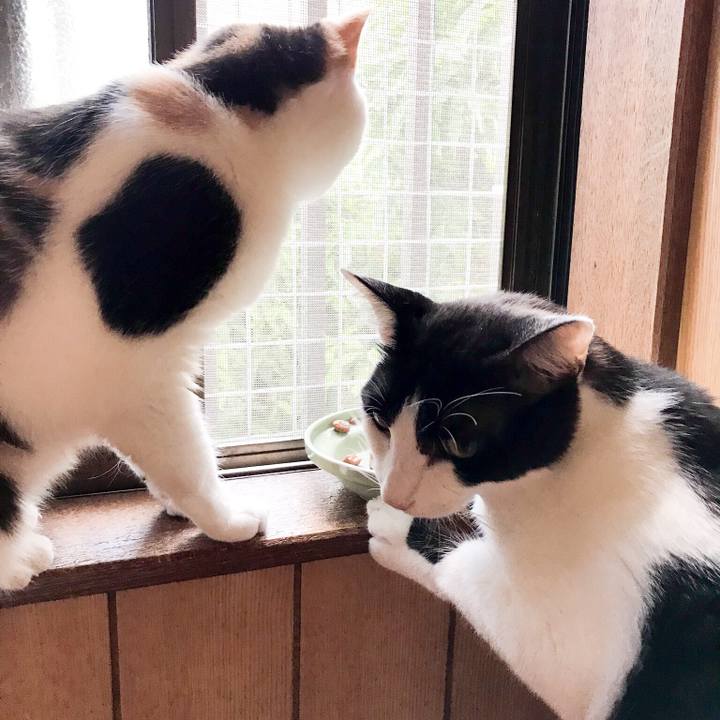 9a7602df fed7 44ab 9268 00aaba9bf550 1530236039325