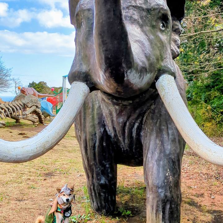 9a760a2a ca7e 424a 8282 af1416bb2224 1766119993564