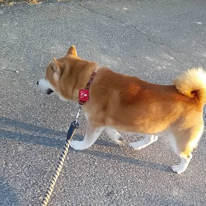 9a763176 59ef 4ae5 bff2 ebaa64d66361 1698017293428