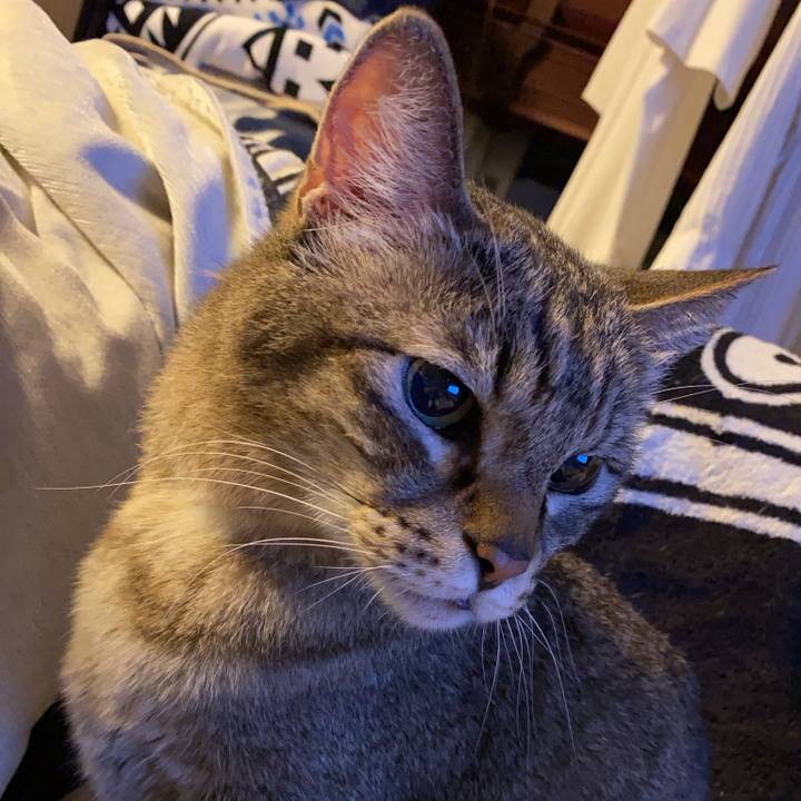 9a7645c6 f209 4036 8862 6d5437b080dd 1762825398913