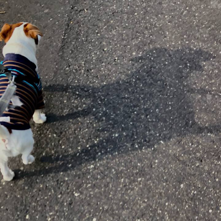 9a765b96 3062 4696 8837 a80d836c40d9 1683883041243