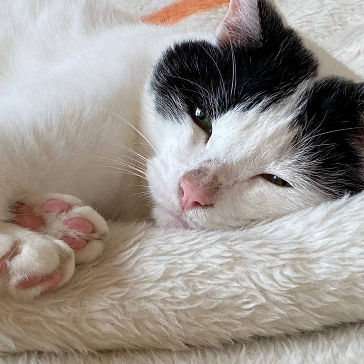 9a767eb0 3735 4f61 91f1 fb41048f165f 1621580411515