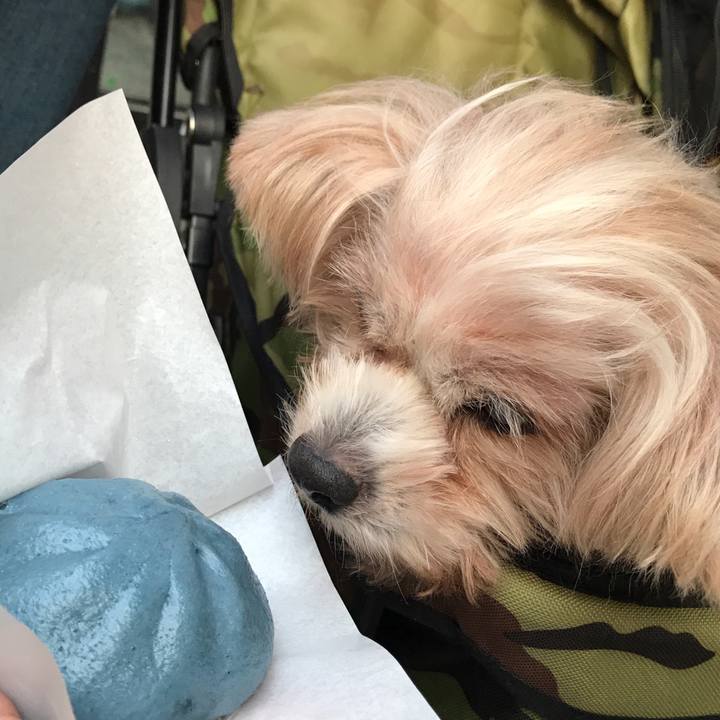 9a768a47 336b 4356 a259 27e9ca3b5355 1542383583442