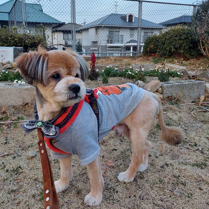 9a768df1 7949 4fba b927 ba859dd99fc4 1646645627095