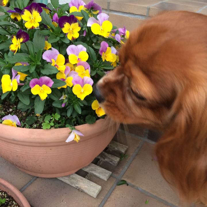 9a76c0f0 6691 4d60 acfa 76c230a8d81f 1524090742960