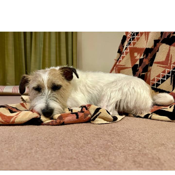 9a76cf9b 570f 45cc b21e 335fbc4ef053 1731010616440