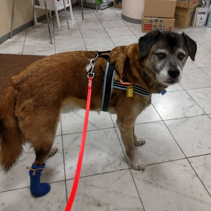 9a76ef71 dc73 4d43 bfed 06ca6c43fdcd 1545823073675